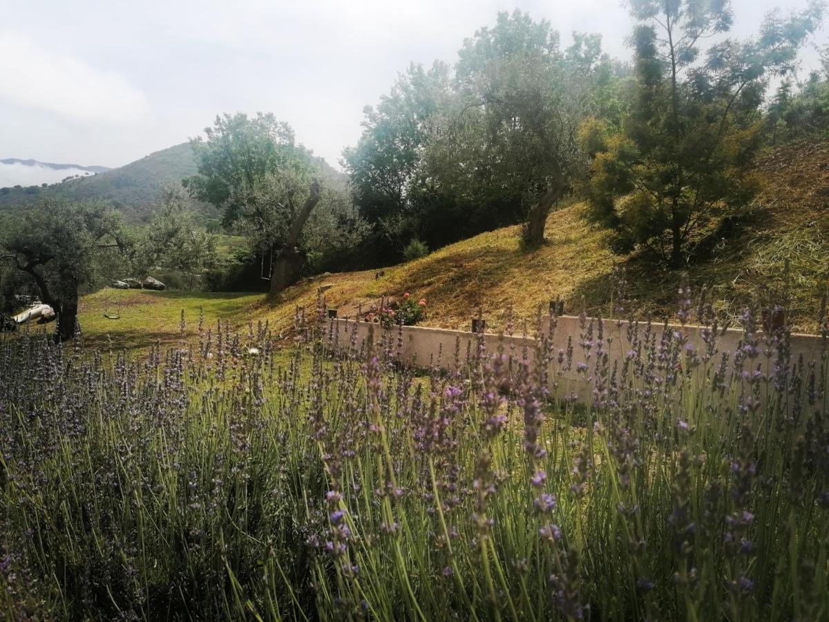 L'Opuntia Sul Lago Caccamo Eksteriør bilde